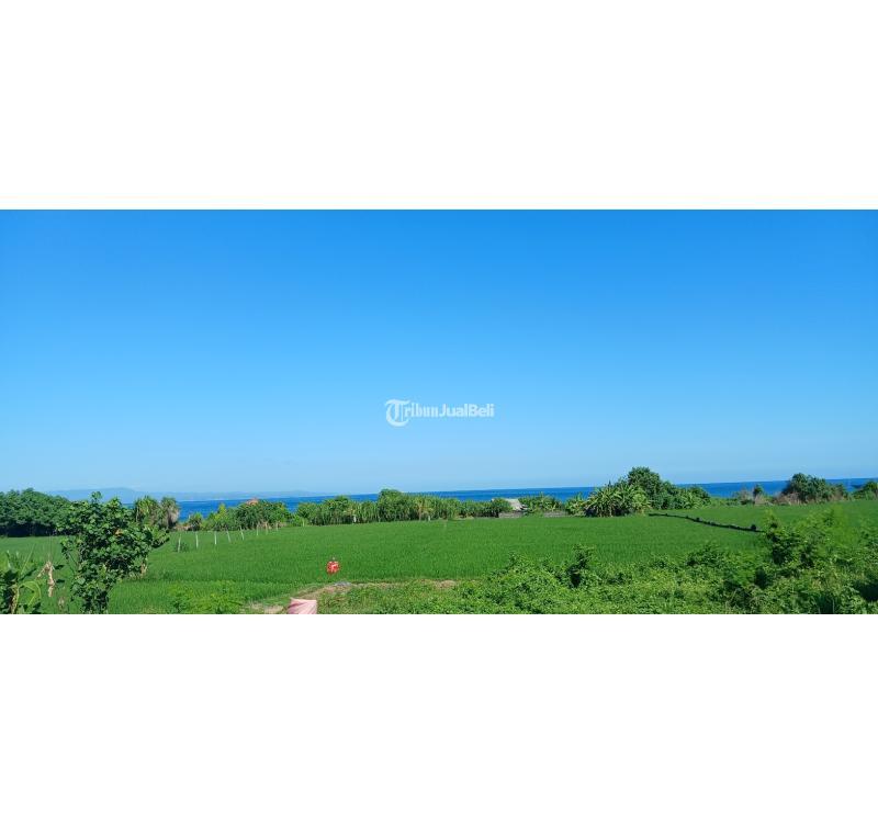 Disewakan Tanah Pinggir Pantai jl Ida Bagus Mantra Siyut LT5000 SHM - Gianyar Bali