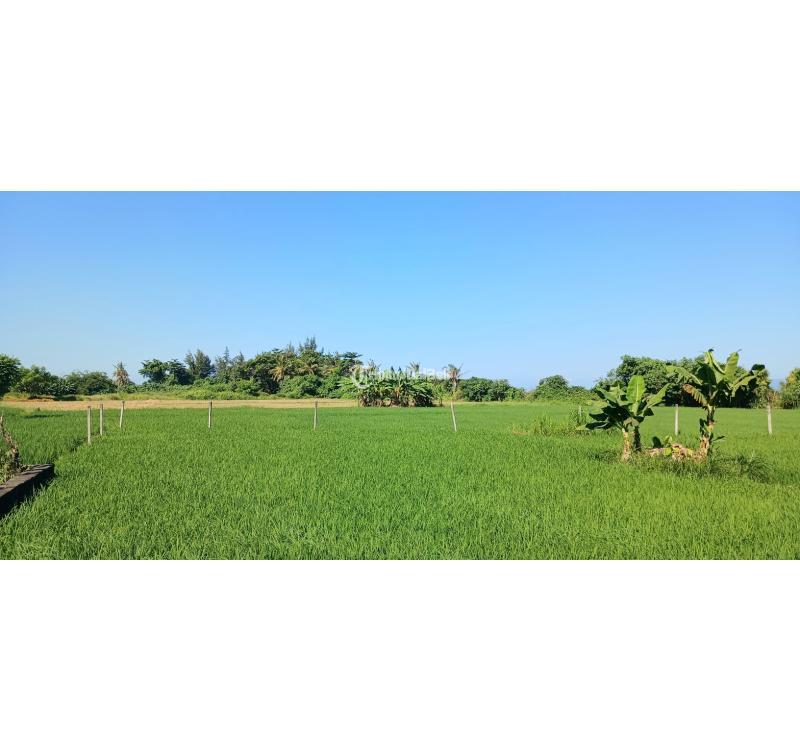 Disewakan Tanah Pinggir Pantai jl Ida Bagus Mantra Siyut LT5000 SHM - Gianyar Bali