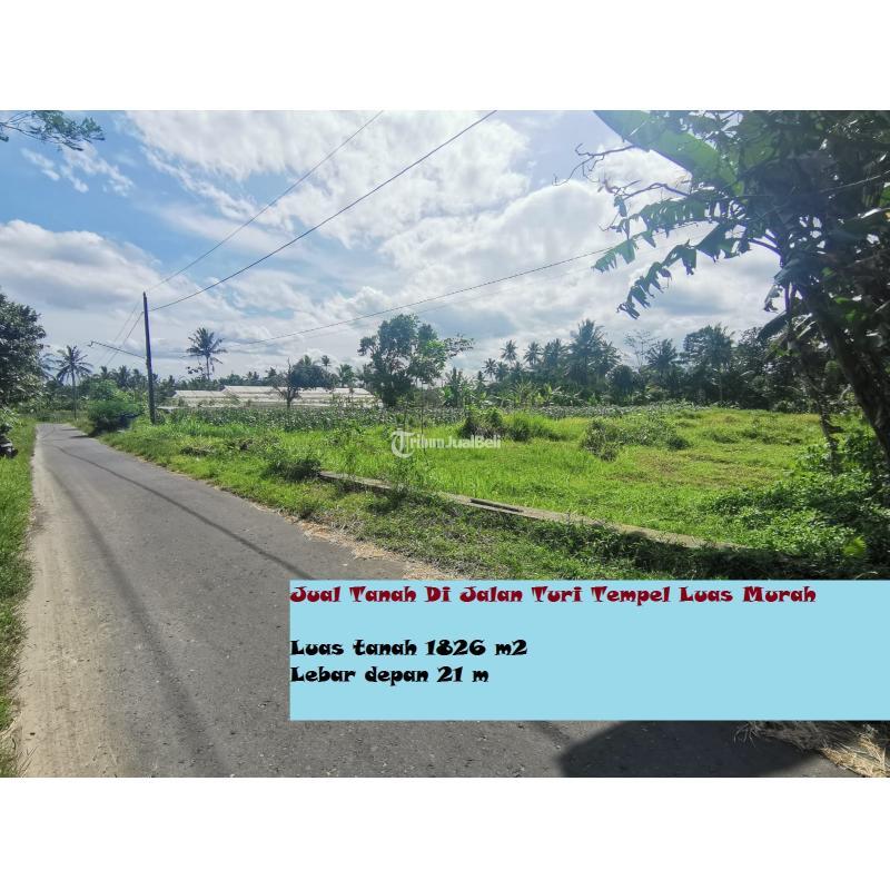 Dijual Tanah Di Jalan Turi Tempel Luas Murah LT1826 SHM - Sleman Yogyakarta 