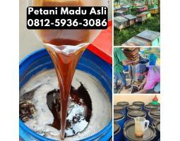 Supplier Madu Asli Harga Murah  - Kubu Raya Kalimantan Barat 