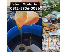 Supplier Madu Asli Harga Murah  - Kubu Raya Kalimantan Barat 