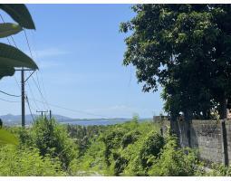 Disewakan Tanah Kontrak 3090m2 SHM, View Istimewa Cocok untuk Villa - Gianyar Bali