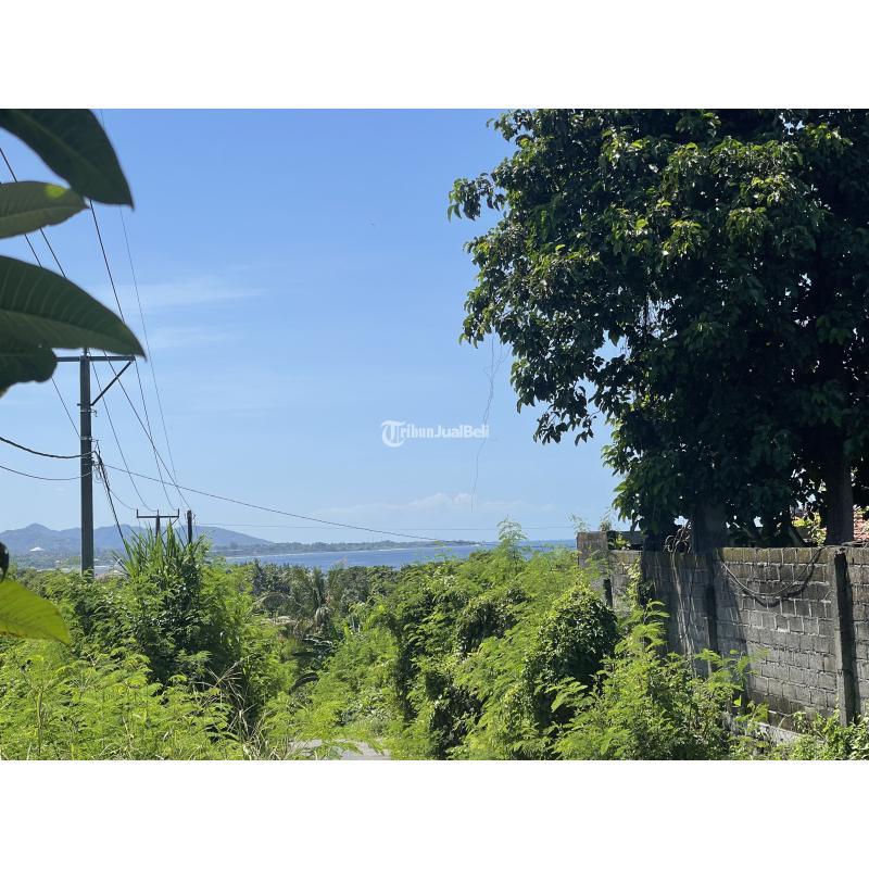 Disewakan Tanah Kontrak 3090m2 SHM, View Istimewa Cocok untuk Villa - Gianyar Bali