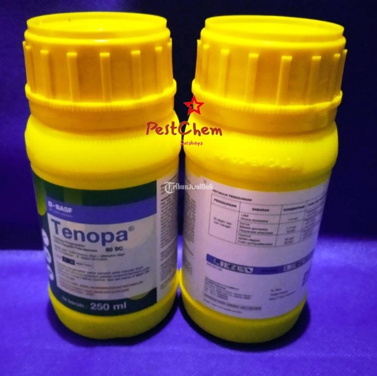 Tenopa 60 SC 250 ml Insektisida Alpha Cypermethrin - Surabaya Jawa Timur