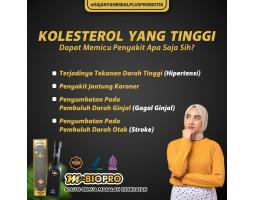M Biopro Herbal Alami Obat Kolesterol Tinggi Ampuh Alami - Jakarta Pusat 