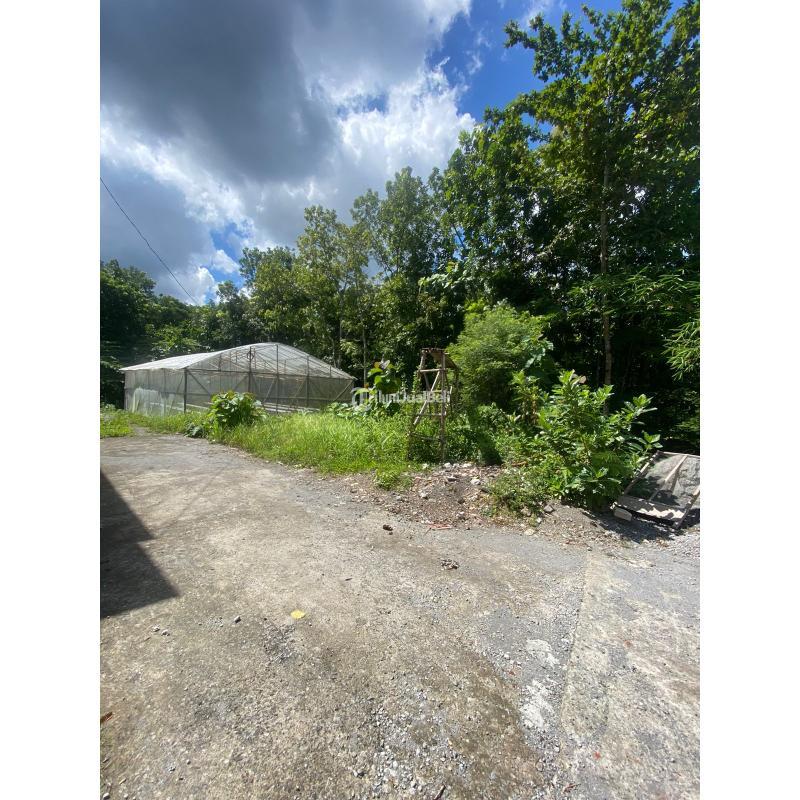 Dijual Tanah Kavling Dekat Pasar Gamping LT187 SHM - Sleman Yogyakarta