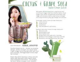 Ms Glow Moisturizer Cactus dan Grape Seed - Surabaya Jawa Timur 