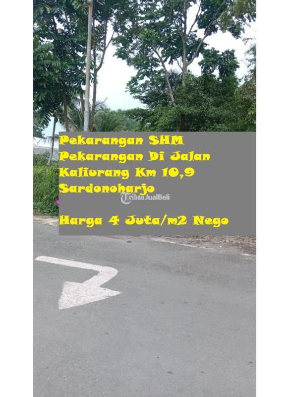 Dijual Tanah Pekarangan SHM Pekarangan Di Jalan Kaliurang Km 10,9 Sardonoharjo LT263 SHM - Sleman Yogyakarta