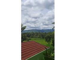 Jual Rumah Joglo Modern Minimalis Luas 500 m2 Baru View Persawahan - Bantul Yogyakarta