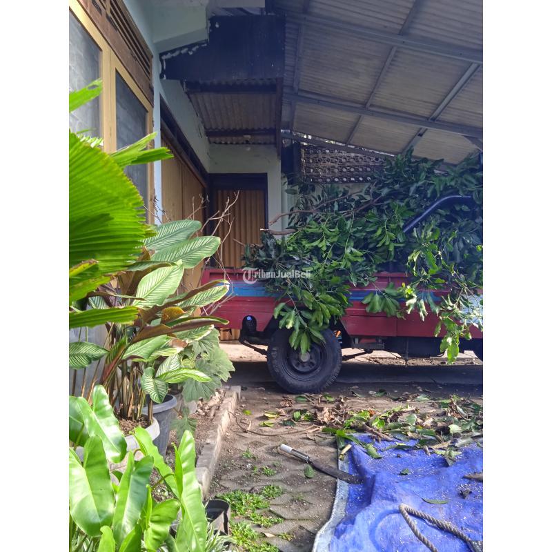 Jasa Angkut Buang Barang Apa Saja - Yogyakarta