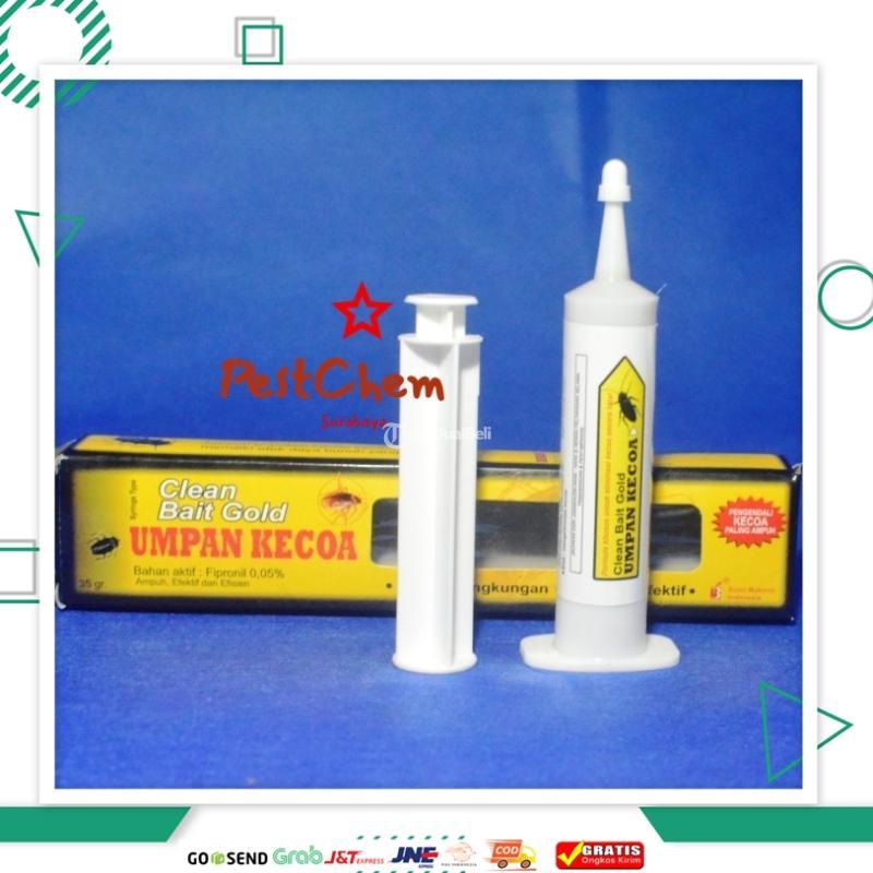 Umpan Racun Kecoa Ampuh dari Korea Selatan Clean Bait Gold Gel 35 gram - Surabaya Jawa Timur
