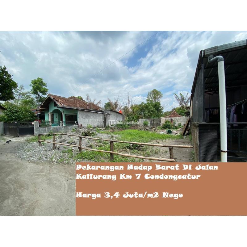 Jual Tanah Pekarangan 320m2 SHM Hadap Barat Di Jalan Kaliurang Km 7 Condongcatur - Sleman Yogyakarta