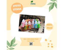 Distributor Resmi Stetes Stevia Terbesar Untuk Kencing Manis Jeneponto 15ML - Makassar Sulawesi Selatan