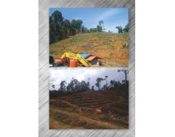 Jual Tanah Lahan Kosong Luas 12.000Ha Atas Nama PT - Merangin Jambi
