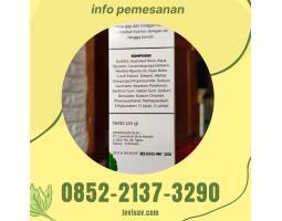 Pasta Gigi Herbal Levisav Odol - Merauke Papua