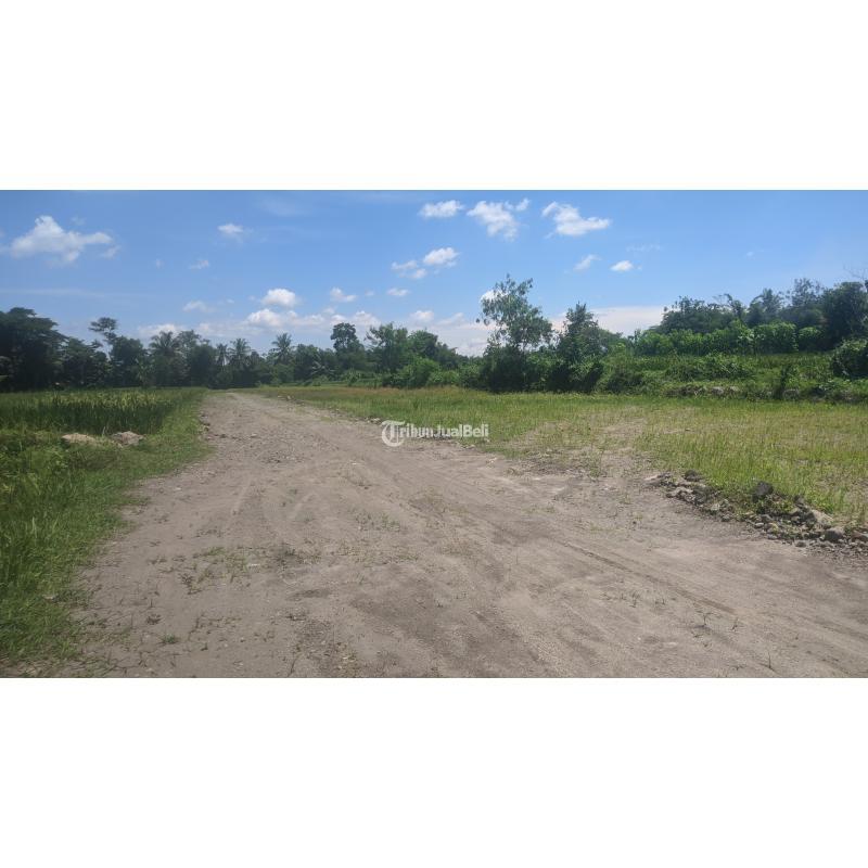 Jual Tanah Kavling Luas 188 m2 View Gunung Merapi - Sleman Jogja