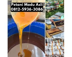 Grosir Madu Asli Terdekat dari Petani Langsung - Pontianak Kalimantan Barat