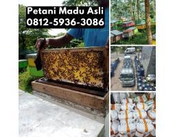 Termurah Grosir Madu Asli Terdekat Bisa COD - Pontianak Kalimantan Barat
