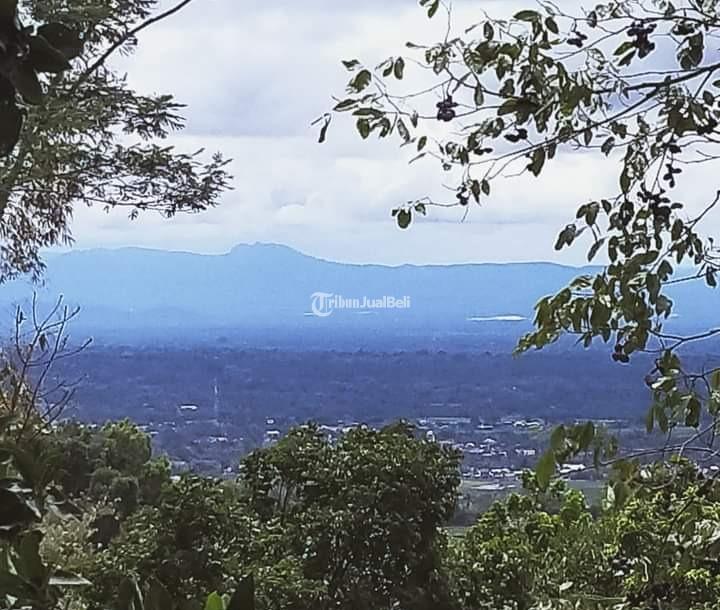 Dijual Tanah Kebun Durian Siap Panen Karangpandan Di Karanganyar Jawa