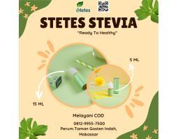 Penjual Resmi Stetes Stevia Termurah Untuk Segala Usia Sinjai 15ml - Makassar Sulawesi Selatan