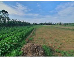 Jual Tanah  Datar Luas 4658 m2 di Daerah jati kesuma Desa Jaba - Deli Serdang Sumatera Utara