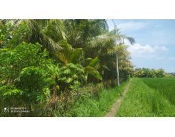 Jual Tanah 500 m2 di Rambut Siwi Mendoyo - Jembrana Bali