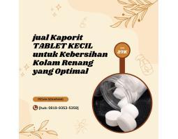 Kaporit Tablet Kecil untuk Kebersihan Kolam Renang yang Optimal - Bogor Jawa Barat 