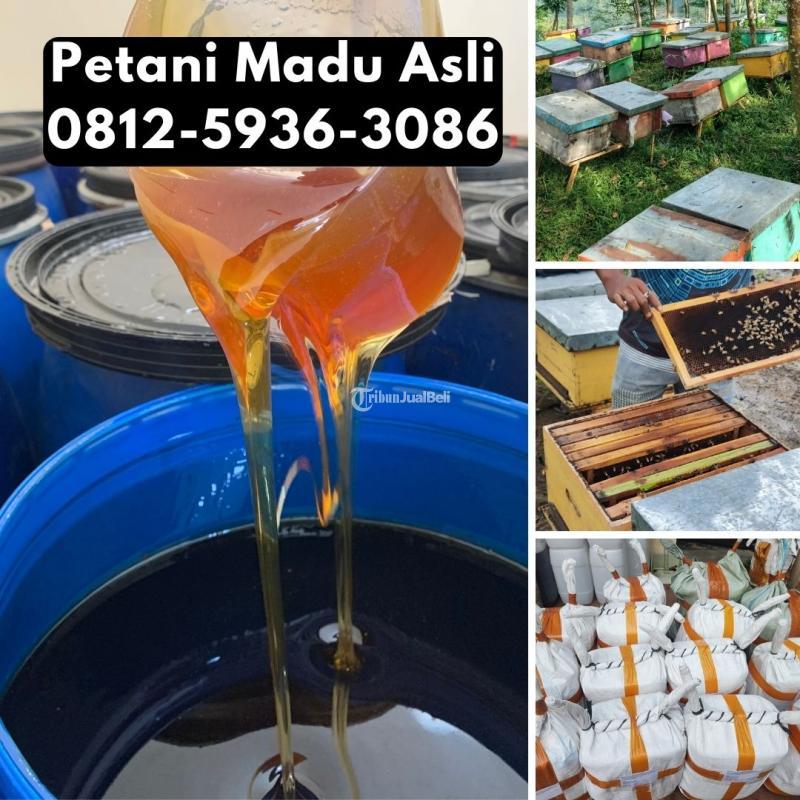 Grosir Madu Asli Terdekat Harga Murah - Balikpapan Kalimantan Timur
