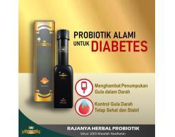 M Biopro Herbal Alami Obat Diabetes Ampuh Di Apotik Reaksi Cepat - Bojonegoro Jawa Timur 