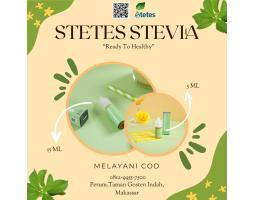 Penjual Resmi Stetes Stevia Termurah Untuk Diet Diabetes Kota Palopo 5ml - Makassar Sulawesi Selatan 