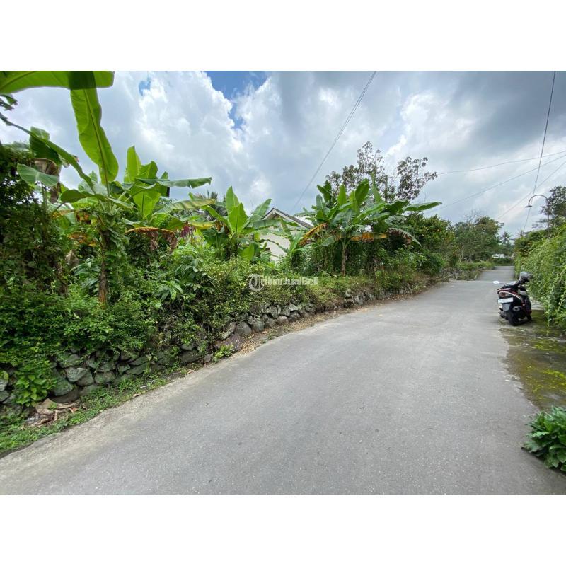 Dijual Tanah Pekarangan SHMP Hadap Timur di Pakem Jogja Utara LT305 - Sleman Yogyakarta