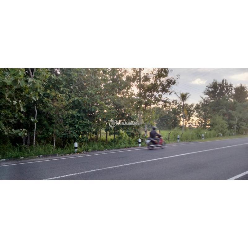 Dijual Tanah Jogja Gading Tepi Jalan Alternative Karangmojo SHM Lt 546 m2 - Gunung Kidul