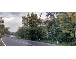 Jual Tanah Murah Luas 1100m SHM di Jl. Alternative Karangmojo - Gunung Kidul Yogyakarta