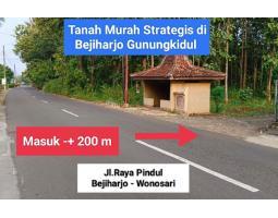 Jual Tanah Murah Luas 1719m SHM di Bejiharjo Gunungkidul utara Kota Wonosari Dekat Wisata Goa Pindul - Gunung Kidul Yogyakarta