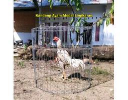 Kandang Ayam Baterai Galvanis Anti Karat - Kediri Jawa Timur