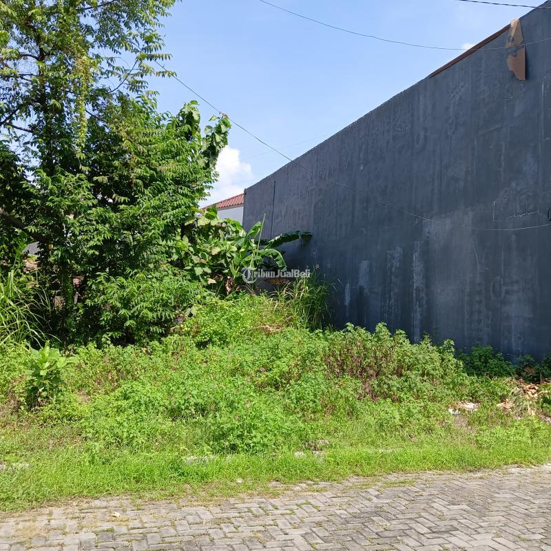 Dijual Tanah Seberang Unimus Samping RSGM Kedungmundu Raya Sambiroto LT200 SHM - Semarang Jawa Tengah