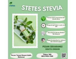 Supplier Resmi Stetes Stevia Termurah Untuk Segala Usia Seram Bagian Barat 5ml - Makassar Sulawesi Selatan