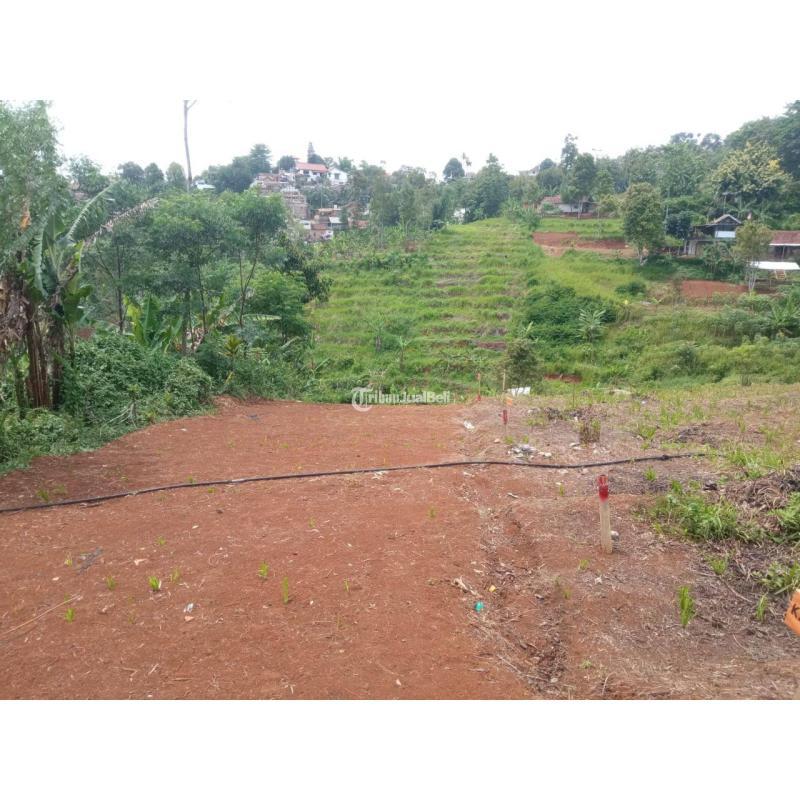 Jual Tanah Kavling Luas 108m2 di Jatihandap Investasi Cerdas, Keuntungan Berlipat - Bandung Kota Jawa Barat