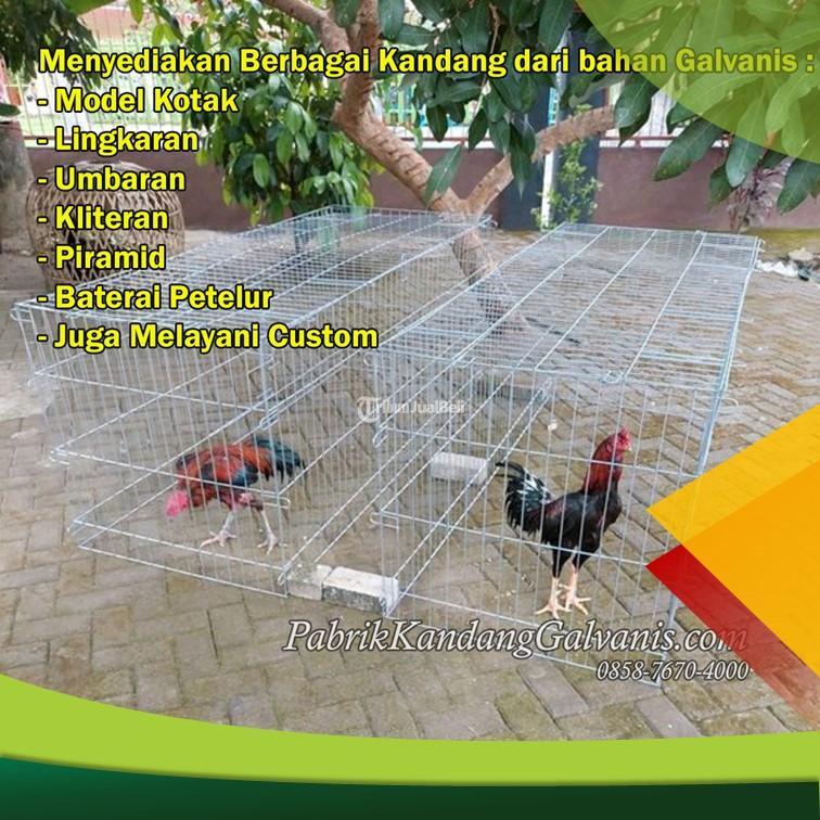 Sangkar Ayam Besi Awet Puluhan Tahun - Kediri Jawa Timur