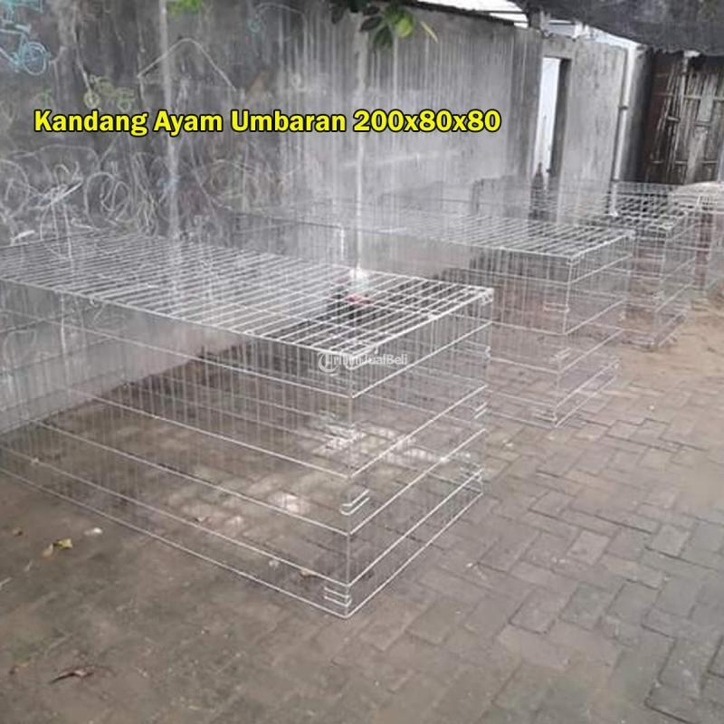 Sangkar Ayam Besi Awet Puluhan Tahun - Kediri Jawa Timur