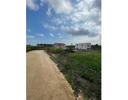 Jual Tanah Kavling Leasehold Luas 500m2 SHM Area Babakan Canggu - Badung Bali