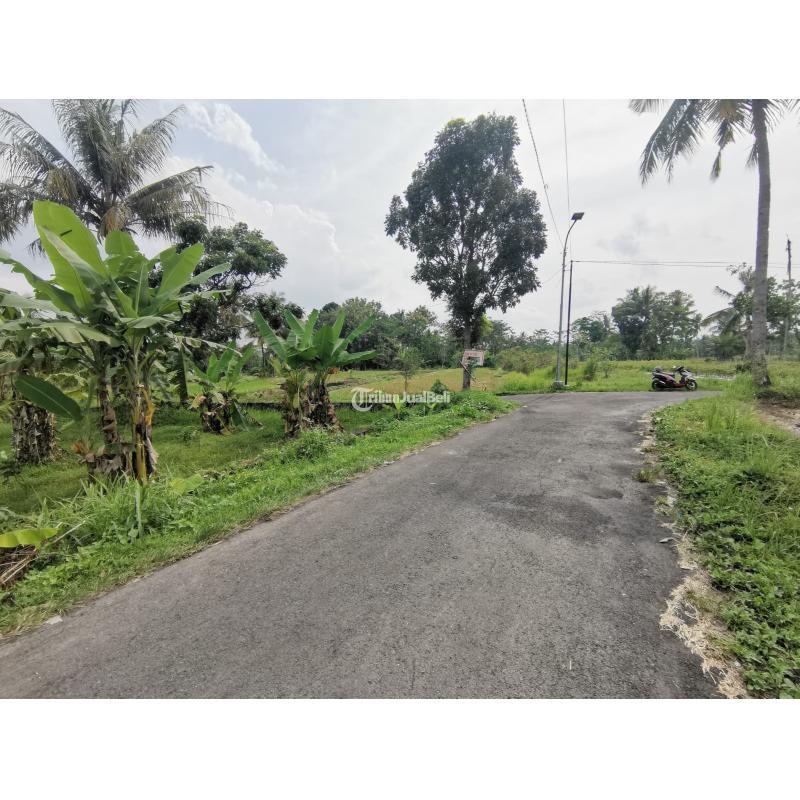 Jual Tanah Pekarangan Luas 142 m2 Strategis Utara Kantor Pemda Sleman - Sleman Jogja