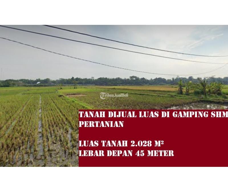 Dijual Tanah Luas di Gamping SHM Pertanian LT2028 SHM - Sleman Yogyakarta