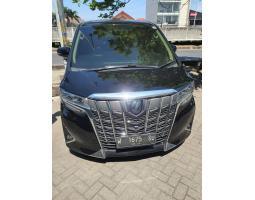 Mobil Toyota Alphard G ATPM 2019 Bekas Warna Favorit - Yogyakarta