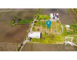 Sale Small Land Plot Lot Luas 121 m2 in Blahbatuh - Gianyar Bali