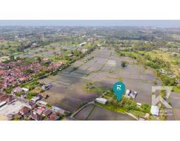Sale Small Land Plot Lot Luas 121 m2 in Blahbatuh - Gianyar Bali
