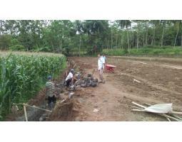 Dijual Tanah Luas 98 m2 Murah Hanya 73 Juta - Magelang Jawa Tengah