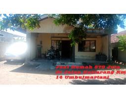 Dijual Rumah Di Jalan Kaliurang Km 14 Umbulmartani LT304 LB200 3KT 1KM Legalitas SHM - Sleman Yogyakarta 