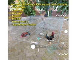 Sangkar Burung Dari Kawat Ayam Anti Karat - Kediri Kota Jawa Timur