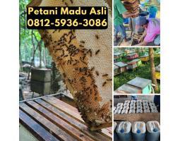 Supplier Madu Asli Harga Murah - Gianyar Bali 